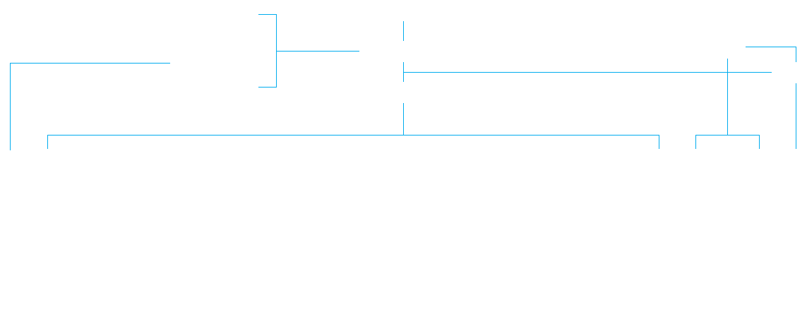 开元集团科技股份有限公司